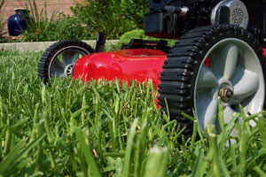 Lawn Mowing in Greenville, SC