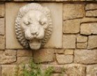Greenville Landscaping