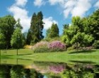 Greenville Landscapers