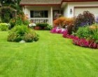 Greenville Lawn Care Contractor