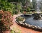 Greenville Landscapers